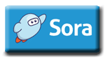 access Sora website 